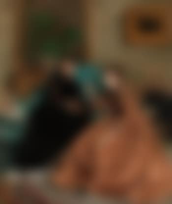 Der Liebesbrief (preview)