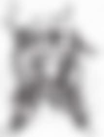 [Untitled] (preview)