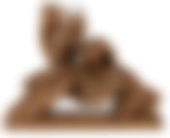 Eekhoorntjes op boomstronk / Ecureuils sur un tronc d'arbre (preview)