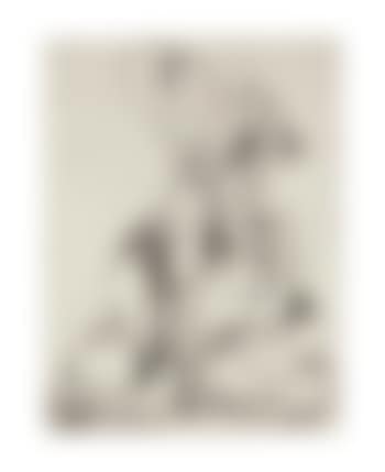 Untitled (preview)