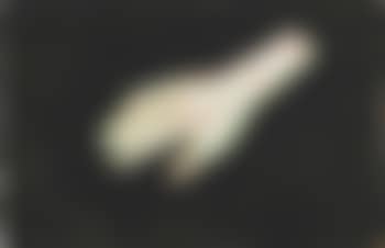 Untitled (preview)