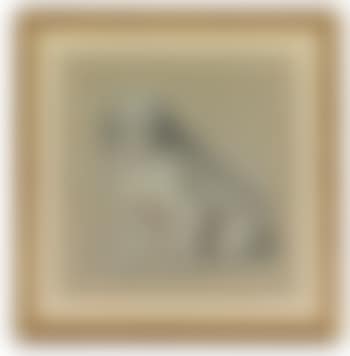 A Study Of a Poodle (preview)