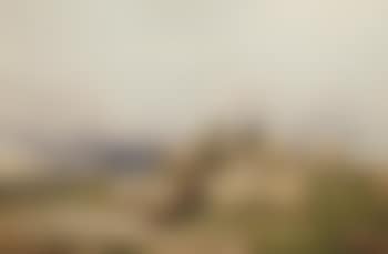 A flock of sheep on a hilltop (preview)
