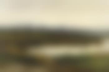 Dawn breaking across the meadow (preview)