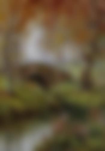 The Bridge at Somersby, Lincolnshire (preview)