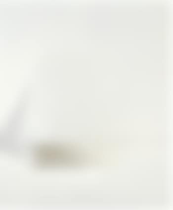 Bianco (preview)