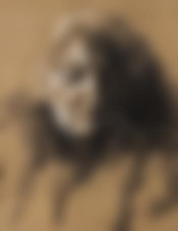 The artist's mother (preview)