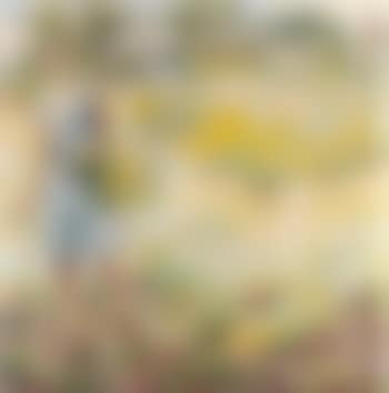 Luce nella luce (preview)