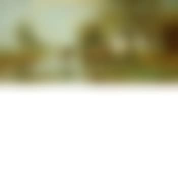 Polder with Young Cattle (preview)
