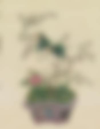 A Group of Six Paintings of Birds and Flowers (preview)
