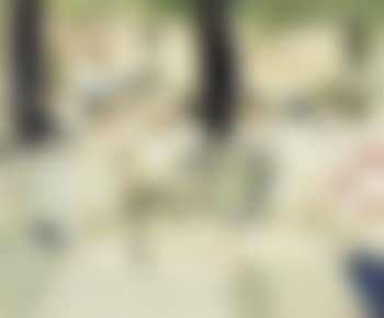 La Pavilion Dauphine, Bois a Boulogne (preview)