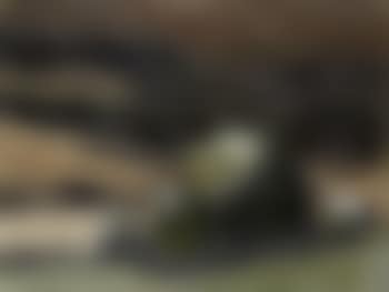 Cottage in a Welsh landscape (preview)