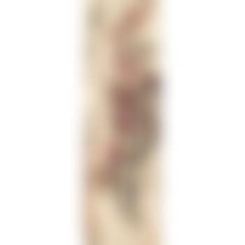 Plum blossoms (preview)