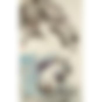 Two cats (preview)
