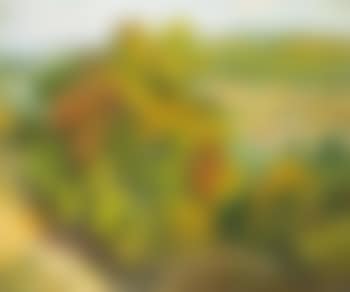 A Provencal landscape (preview)