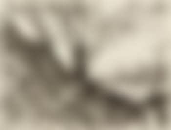 Landschaft mit Bäumen (preview)