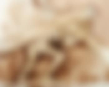 Christ Carrying His Cross (preview)