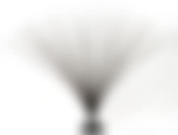 (Untitled) spray (preview)