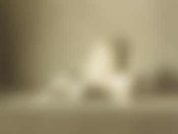 Still life in white (preview)