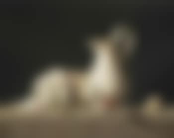 Still life with a white jug (preview)