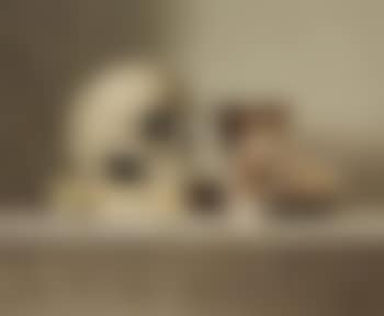 Still life with skull (preview)