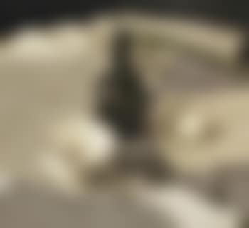 Still life with a bowl, a bottle and an egg (preview)