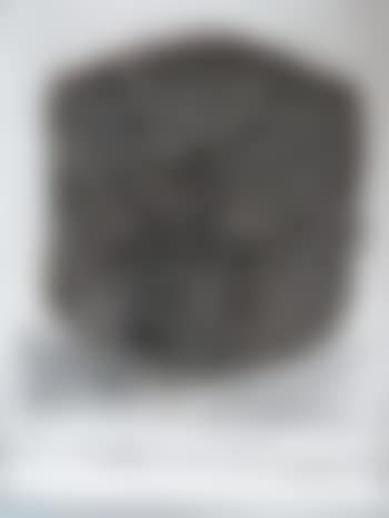 Portrait de compression (preview)