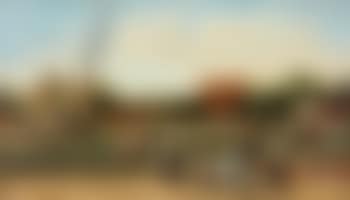 Cotton plantation scene (preview)