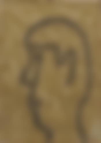 Profile on Stucco (preview)
