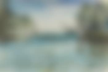 The bridge (preview)