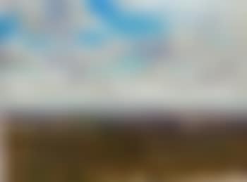 Landscape (preview)