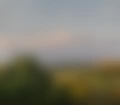 Summer landscape Fynen with Kjærum and Ebberup hills in the background (preview)