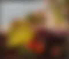 Still life with a goldfinch, grapes and peaches (preview)