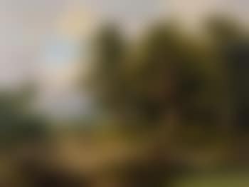 Landschaft Mit Wanderern Und Reisigsammlern (preview)