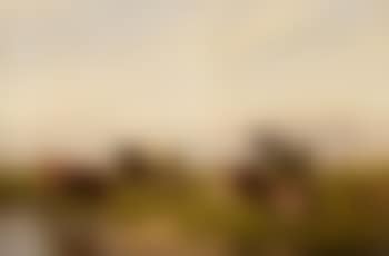 Weite Landschaft Mit Kühen Und Schafen An Einem Bach (preview)