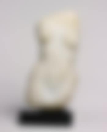 Torso (preview)