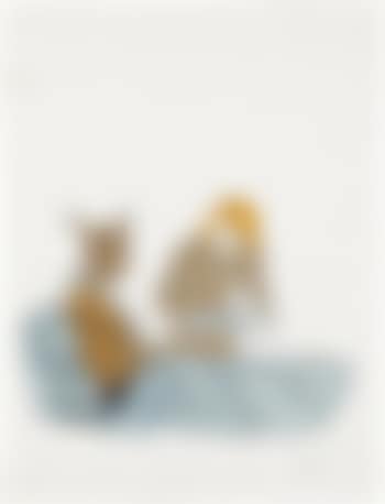 Untitled (preview)