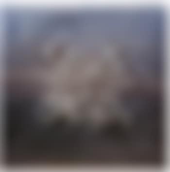 Arabesques (preview)
