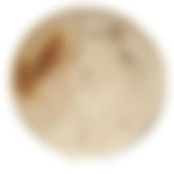 Untitled (Plate) (preview)