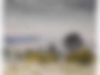 Blick auf die Förde (preview)