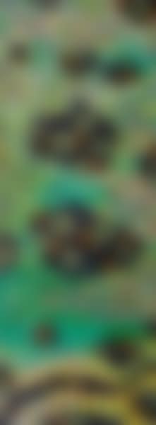 Grünfeldinnenwelten auf Feld (preview)