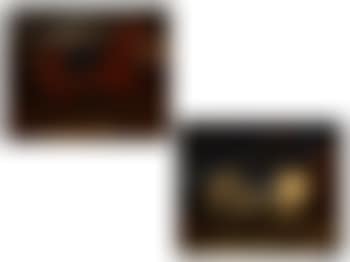 Zwei Pferdeportraits (preview)
