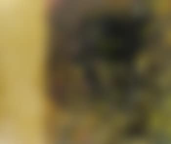 Diptychon (preview)