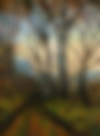 Chemin De Placy En Automne (preview)