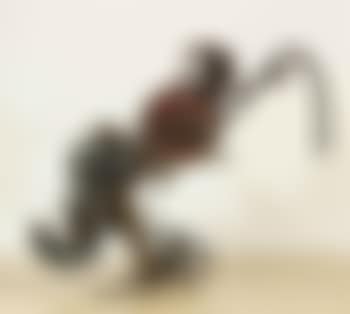 Der Rüssel (preview)