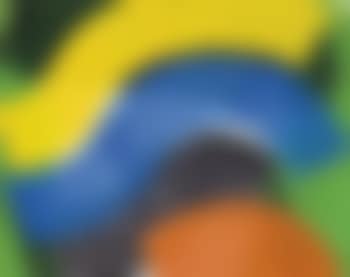 Put out more flags (Heenk 90) (preview)