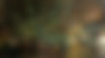 Emin Efendi Lokantasi (preview)