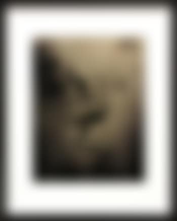 Untitled (preview)