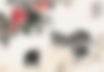 Flowers And Birds (preview)