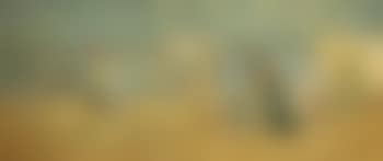 Beach scene (preview)